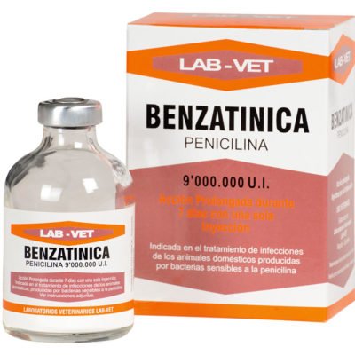 Benzatinica antibiótico para ovinos, caprinos porcinos y caninos
