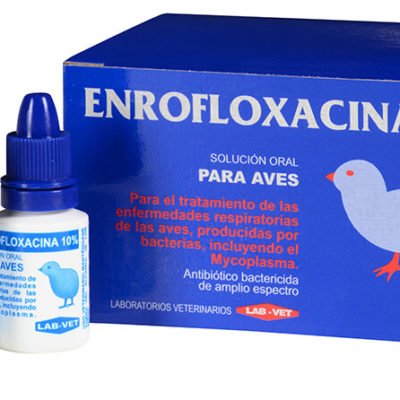 Enrofloxacina antibiótico para aves perros y gatos